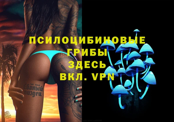 не бодяженный Михайлов