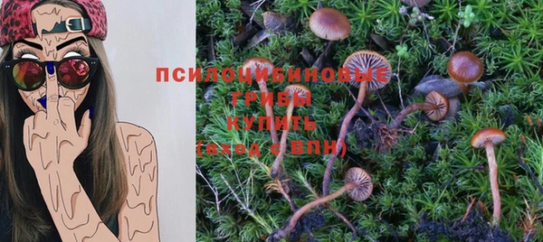 кокс Михайловск
