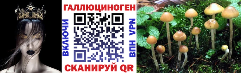 Галлюциногенные грибы MAGIC MUSHROOMS купить наркотик Карталы
