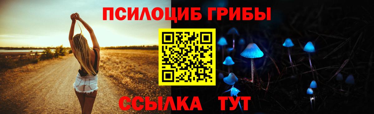 Псилоцибиновые грибы Cubensis  Галлюциногенные грибы ЛСД  Вход с VPN  Карталы 